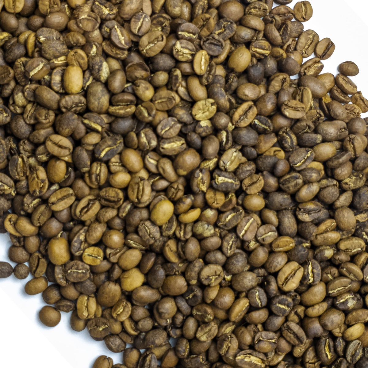 Rose Bud Whole Bean Light/Medium Roast for Espresso Rose Rock Co