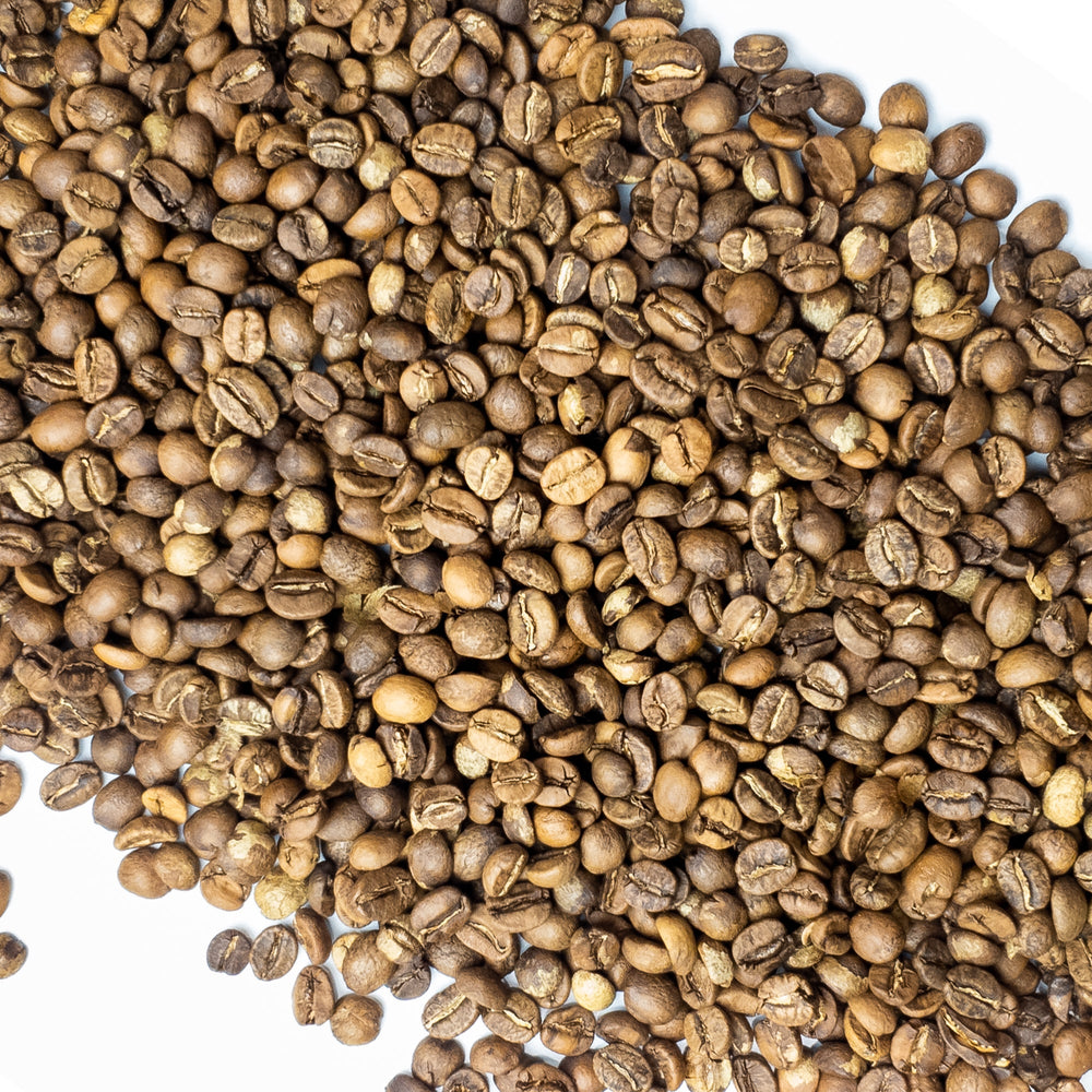 Blond Nightingale | Whole Bean Coffee | Light Roast | Rose Rock Coffee | Air Roasted | 12oz | 1lb | 5lb | Sample