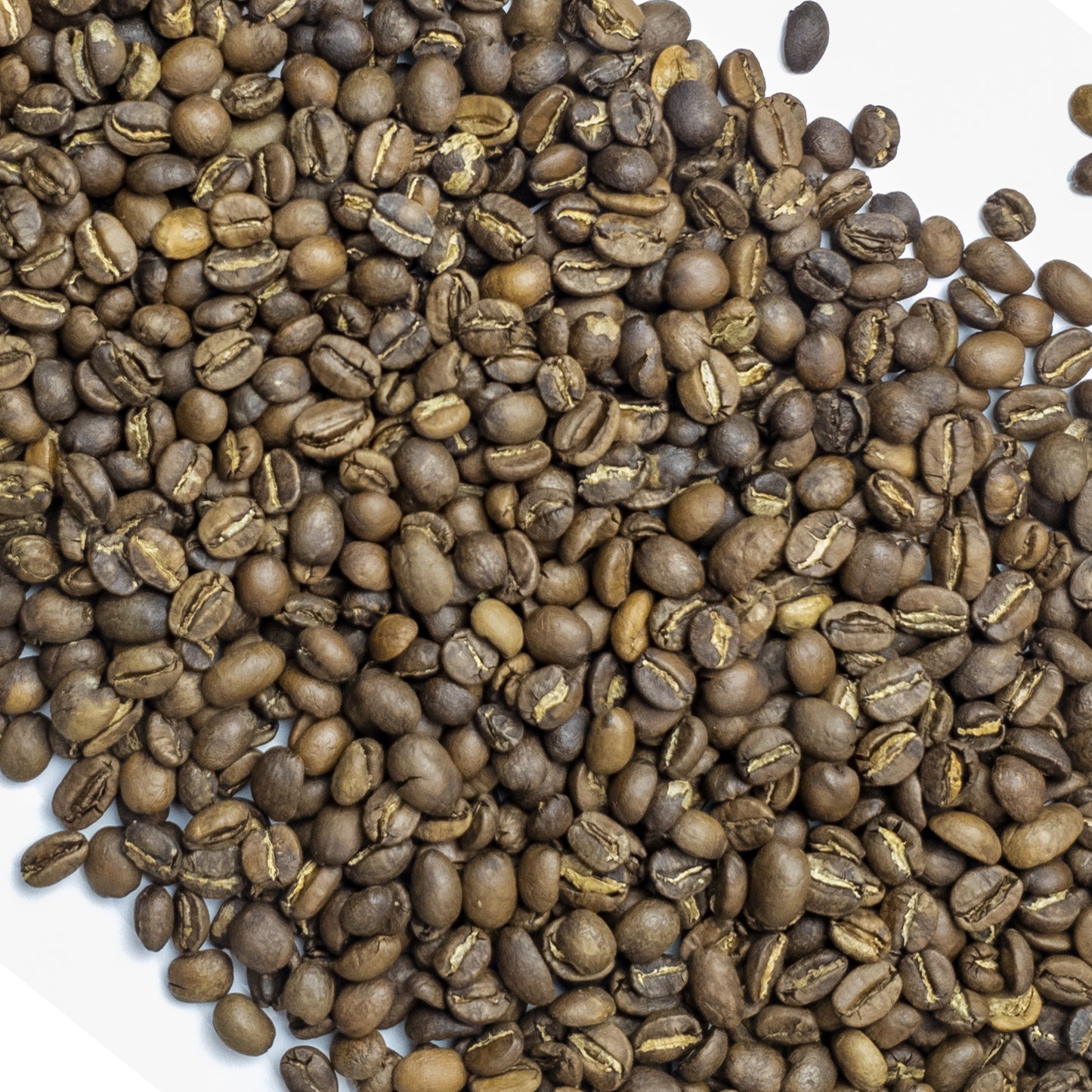 
                  
                    Scissor-Tail | Ground Coffee | Medium Roast | Rose Rock Coffee | Air Roasted | 12oz | 1lb | 5lb | 32ct Frac Packs | Sample
                  
                